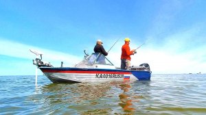 66 ШТУК С ОДНОГО МЕСТА! ЭТО РЕАЛЬНО???