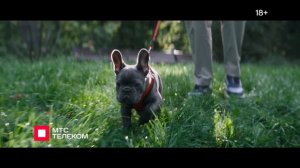 МТС Телеком, реклама МТС Стоянов и Нагиев