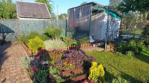 Май.Утро на любимой даче🍀💚💛🍵