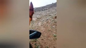 Путешествуйте, оно того стоит! - Антон Птушкин
