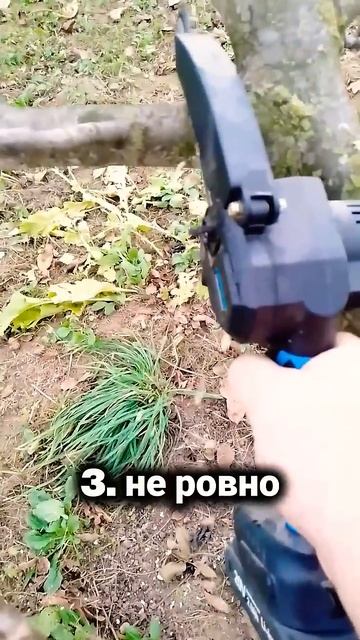 Почему плохо обрезать деревья цепной пилой #diy #сад #об? смотреть онлайн
