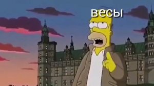 ЗНАКИ ЗОДИАКА В МЕМАХ 2