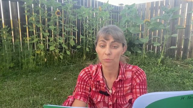 «ИГРУШКИ», читает и рисует Олеся Романова смотреть онлайн