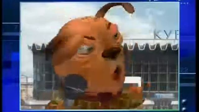 мое первое видео мяу мяу ой бл## гав гав