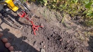 Копаем картофель мотоблок HUTER MK-7800