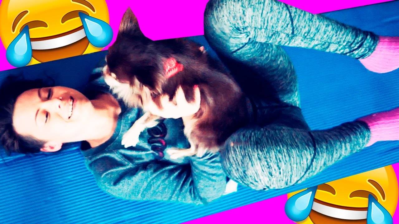 Забавная йога с пушистиками 🧘♀️🐕 Кто круче — Миша или Софи? смотреть онлайн