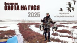 Весенняя охота на гуся. Скрадок с откидной крышей - маскировка на гуся. Налеты белолобого гуся