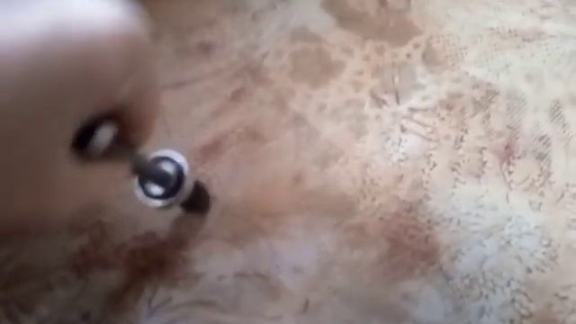 Велосипедная ось заднего колеса с озона на пром подши?