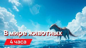 Звуки для соседей - в мире животных, звуки животных, нарезка