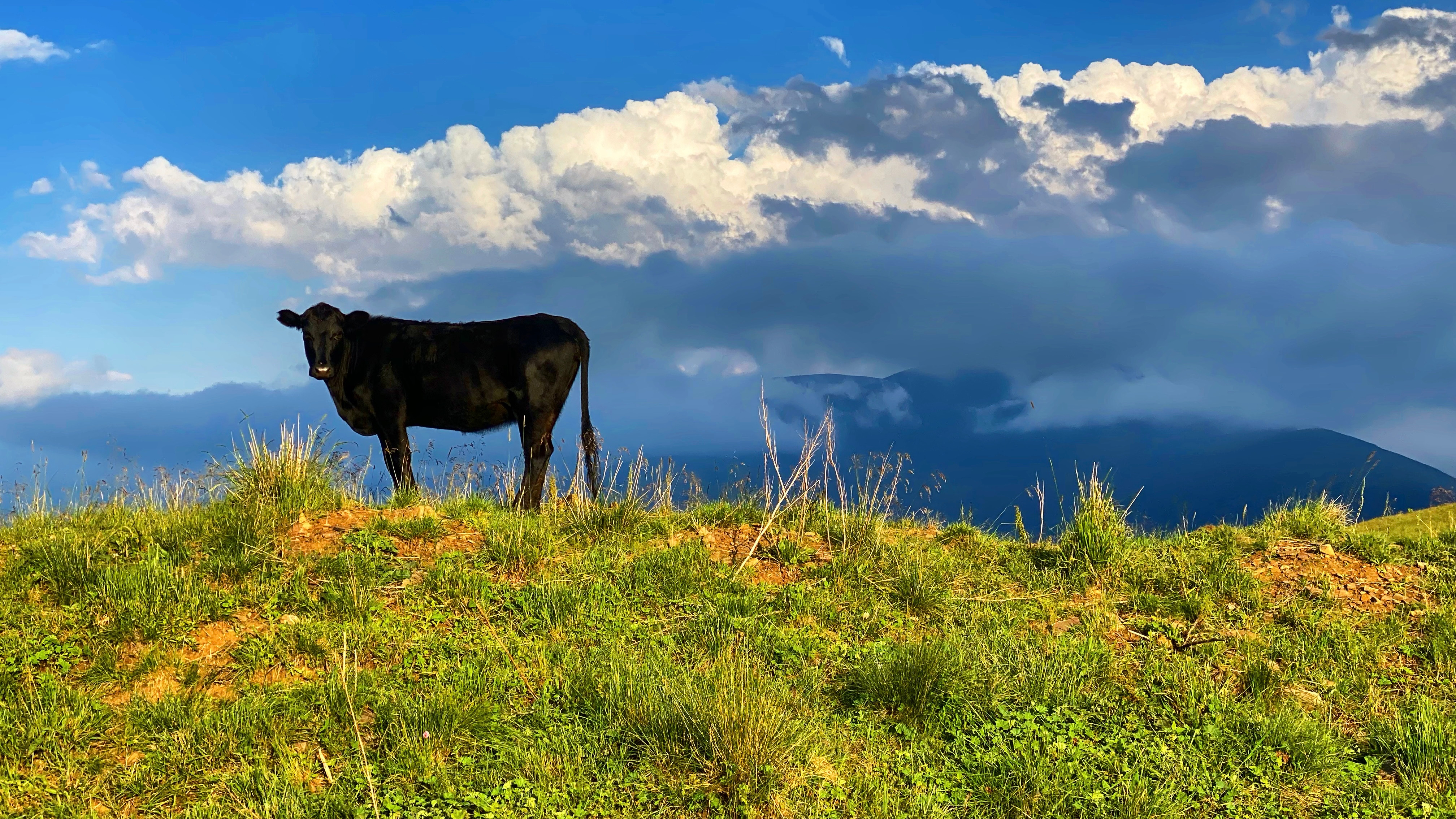 Особенности дорожного движения на Кавказе смотреть онлайн