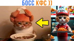 КОТ БОСС КФС! ))) Приколы с котами | Мемозг 1609