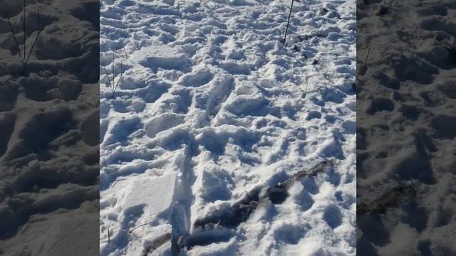 Разметка и пропил грунта