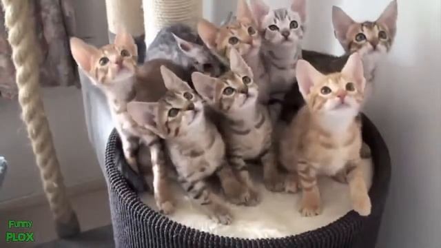 С Днем рождения, Юра!!! смотреть онлайн