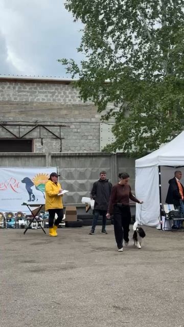 ВЫСТАВКА СОБАК В БАРНАУЛЕ смотреть онлайн