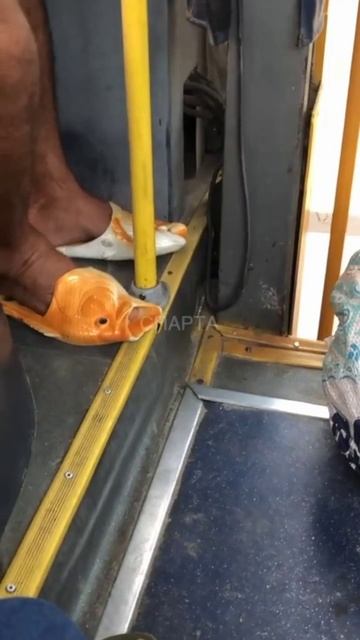 Чудо-тапочки