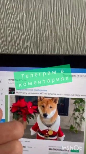 nft как заработать #shorts #криптовалюта #цена #биткоин #ку? смотреть онлайн