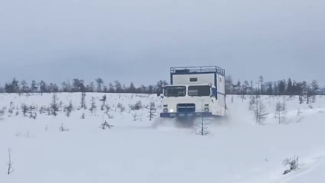 Вездеход Ohara Sm-50