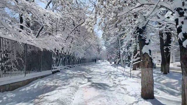 Зима на моноколесе смотреть онлайн