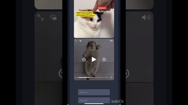 Code-V смотреть онлайн