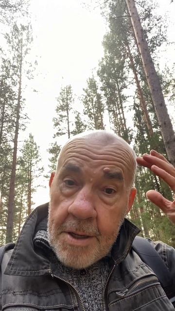 Шило в заднице