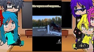 реакция 13 карт на хобби вару (конный спорт)