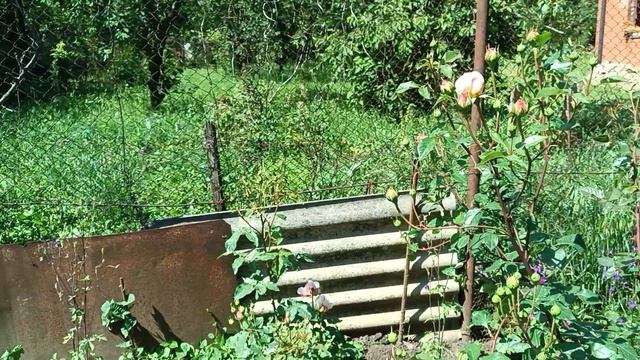 Новый день, очередные хлопоты.Динска 24.05.25. смотреть онлайн