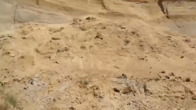 Практика почвоведа. Песчаный карьер. смотреть онлайн