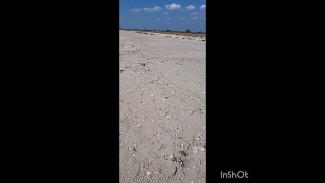 Днепр на пляже  чёрного моря.