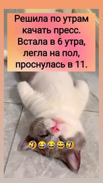 Решила по утрам качать пресс смотреть онлайн