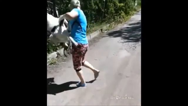Смелый кот,thug life,ублюдок мать твою смотреть онлайн