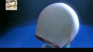 Хасби, да защитит его Бог  Картон лошадей хасби боже мое величество