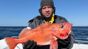 Рыбалка, Губа Ура 2025