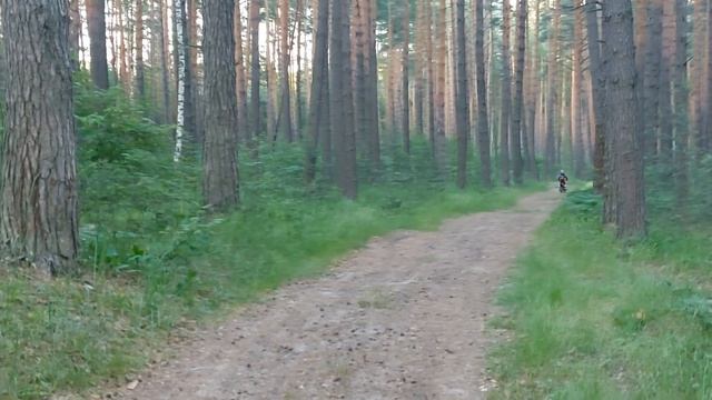 Гонки на питбайках #shorts #новые #питбайк #enduro #subscribe #dirtbike