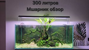 Обзор мшарника 300л