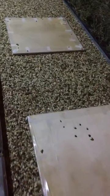 Каменный Ковер сияет как звезды на небе смотреть онлайн