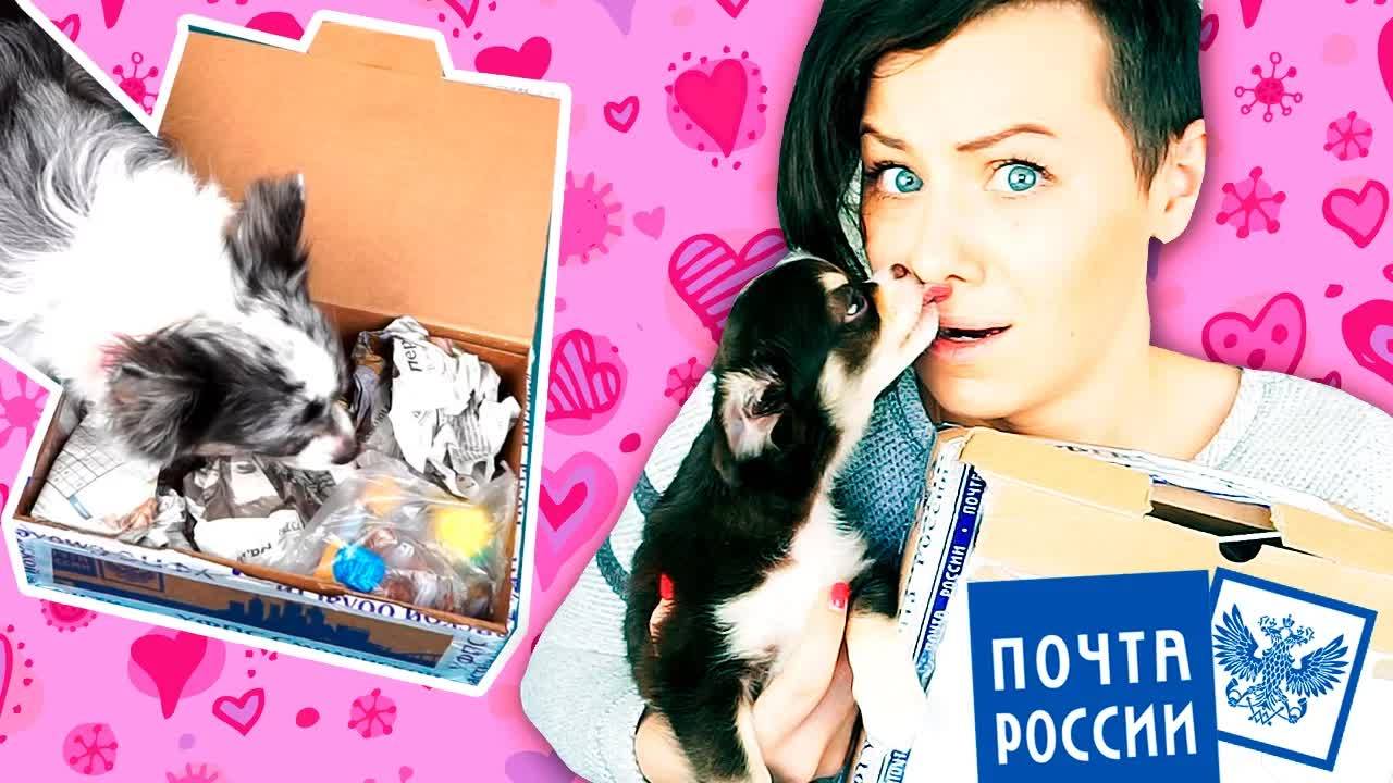 🎬🎁 Подарки от зрителей и проделки щенка — большой распаковочный влог! 🐶🎉 смотреть онлайн