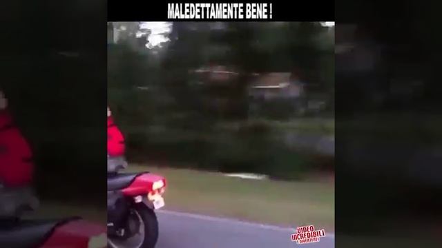 Подборка лучших приколов Ватсап