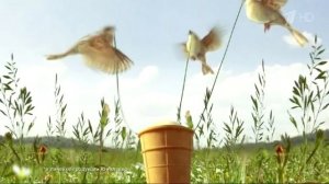 Реклама Мороженое Золотой стандарт