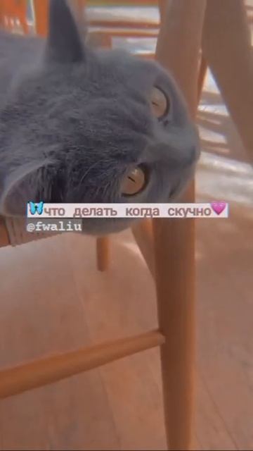 что делать если скучно смотреть онлайн