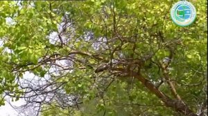 Амударьинский заповедник в Туркменистане