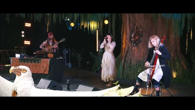 YAIMA_Live_from_Medicine_Festival_2024_1080p