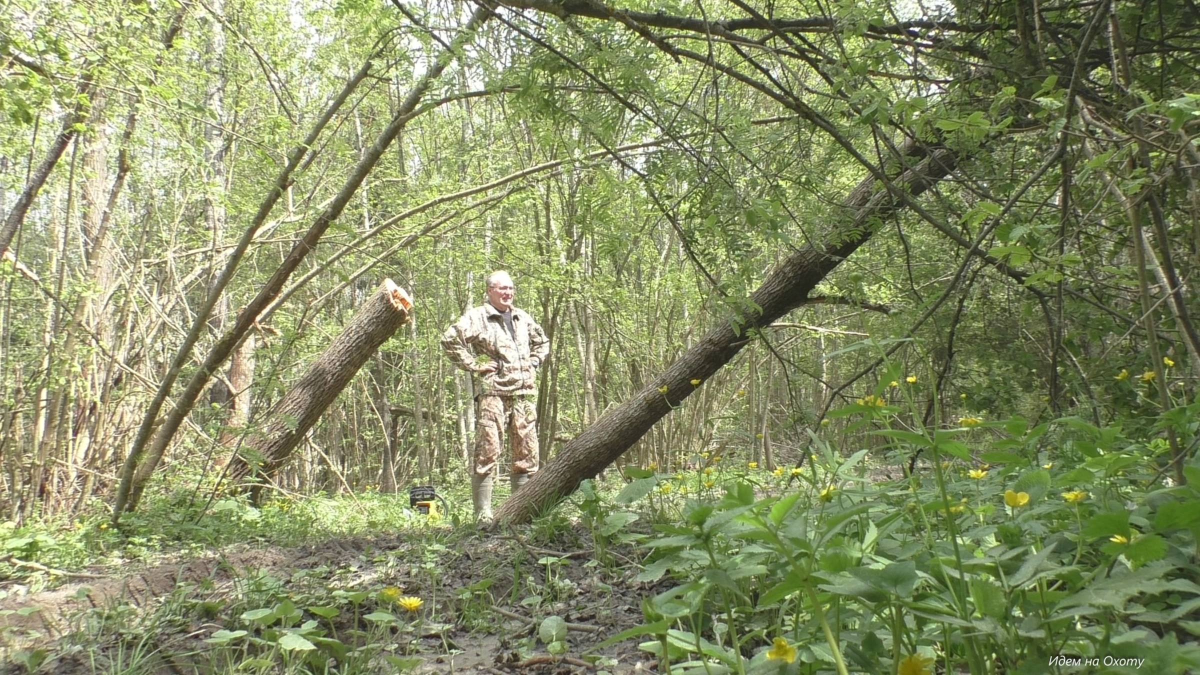 Новые посетители кормушки. Кадры с фотоловушки. смотреть онлайн
