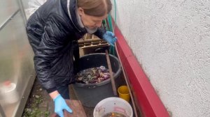 Где поставить бочку для капельного полива, если теплица маленькая. Улитка для моей барматухи.