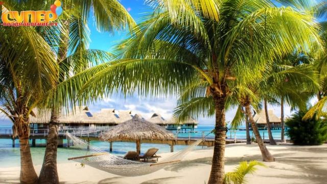 Смешное поздравление с днем рождения super-pozdravlenie.ru смотреть онлайн