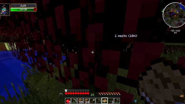 Приключения Sita и ZuZika #2 (АААА Мини Босс) смотреть онлайн