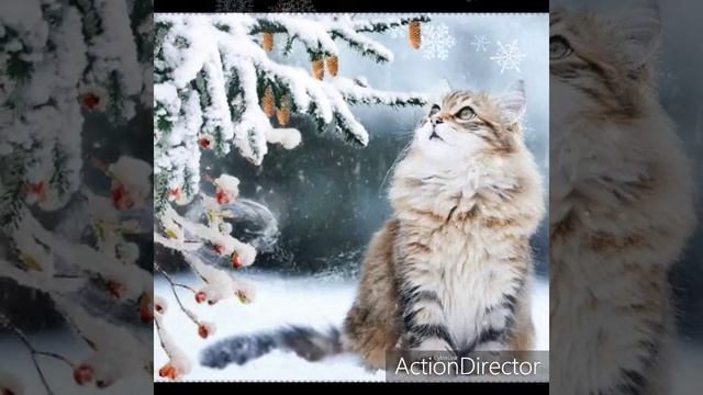 С добрым утром друзья ⛅🍰🍵💖