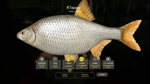 ТРОФЕЙ ТАРАНЬ!!!СЕВЕРСКИЙ ДОНЕЦ - РУССКАЯ РЫБАЛКА 4