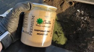 2 ложки в лунку при посадке томатов, секрет большого урожая помидоров