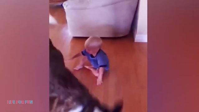 Смешные видео 2021 ● Приколы с животными Самые милые собаки и дети, смешные моменты из жизни дете смотреть онлайн