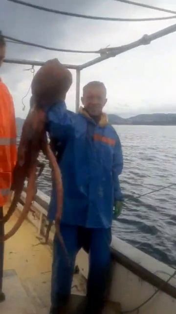 Оригинальное видео от первых лиц #сахалин #рекомендац?